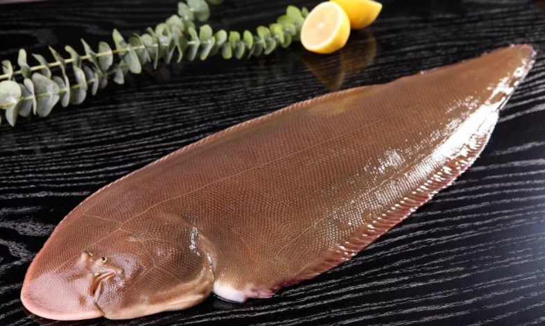 9元1斤的"龙利鱼",鲜嫩细腻还无刺,为何内部员工不买?