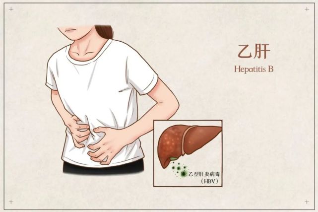 很多得了乙肝的女性也想拥有一个属于自己的健康宝宝,那么, 乙肝妈妈