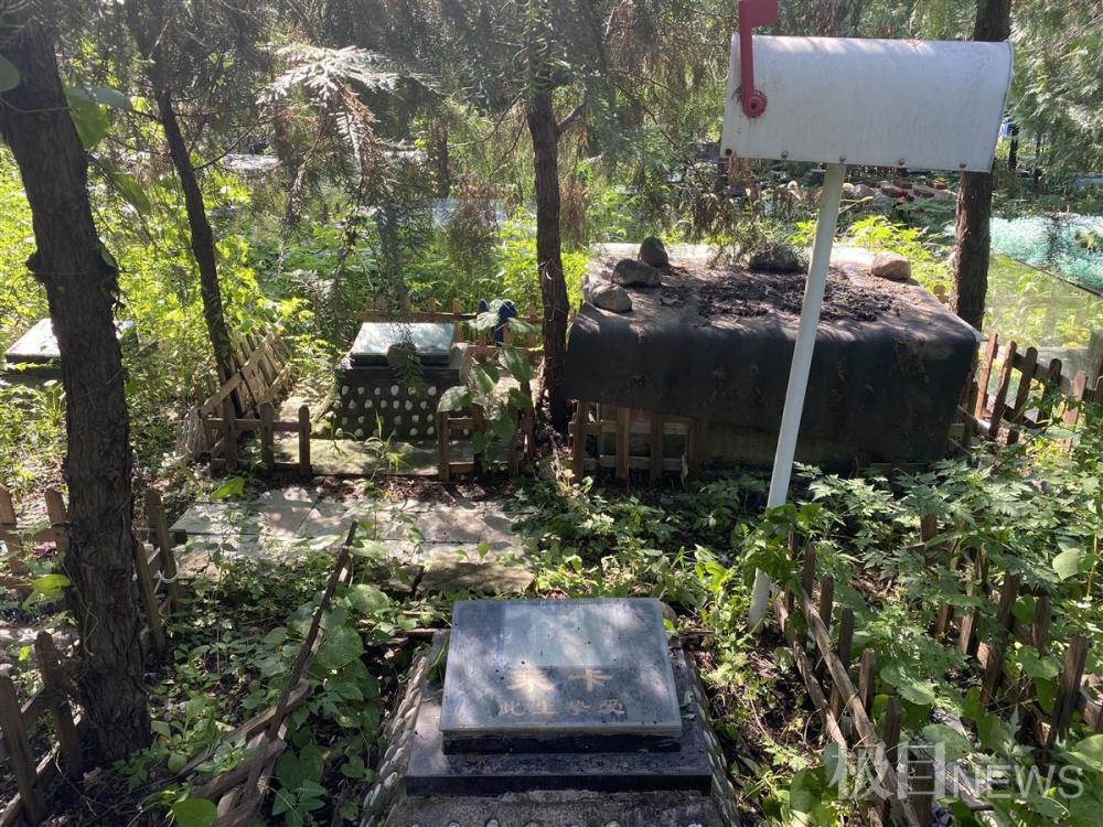真空地带的宠物墓地:费用最高近万元,租期有限用地无保障_腾讯新闻