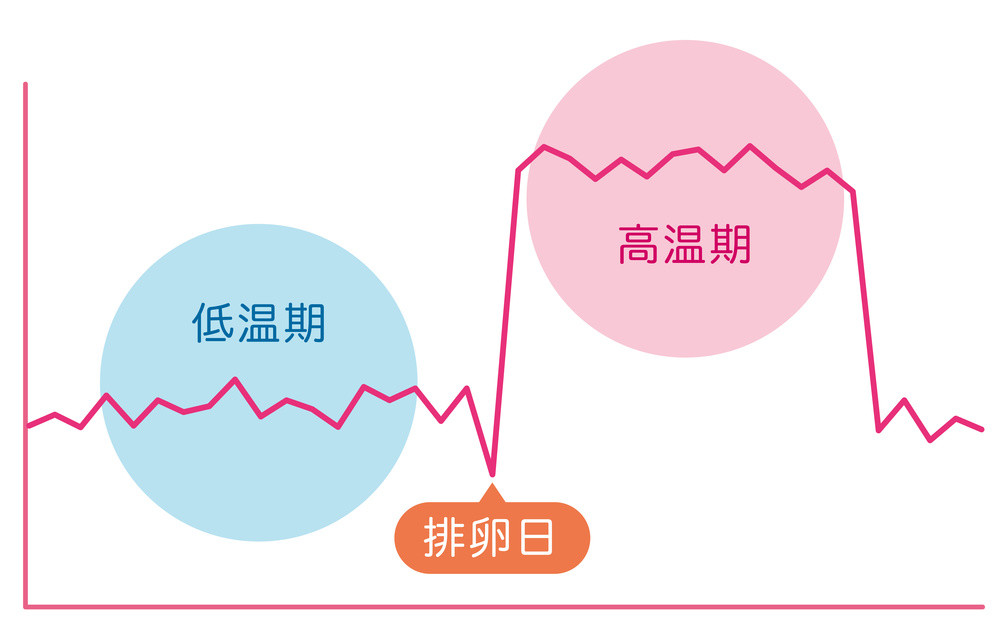 除了計算月經週期外,白帶(宮頸粘液)的變化也是排卵的重要信號.