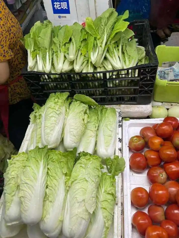 青菜,毛毛菜涨价了?杭城菜场大叔:预计大幅降价要等到