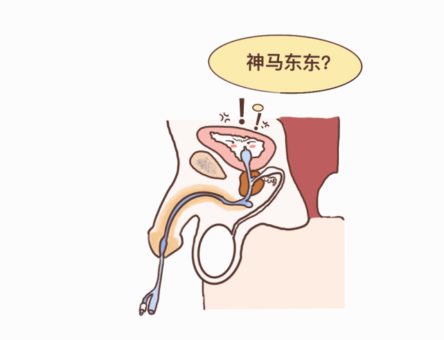 " 男病人:  "我要上厕所" 护士:   "插了尿管了,在床上尿就行" 男病人