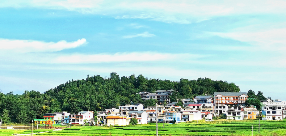 盛夏時節,漫步在安順市廣大農村,綠樹成蔭,道路乾淨整潔,村容村貌煥然