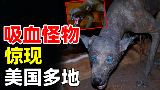 美国多地惊现吸血生物,基因证明不属地球,难道是外星物种入侵?