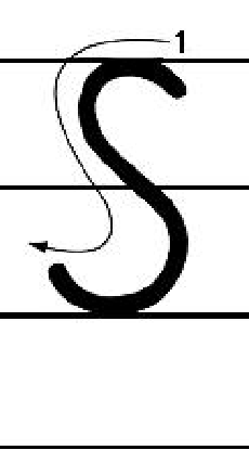 【字母s】每周的英语课堂,今天学习的是ss的发音规则