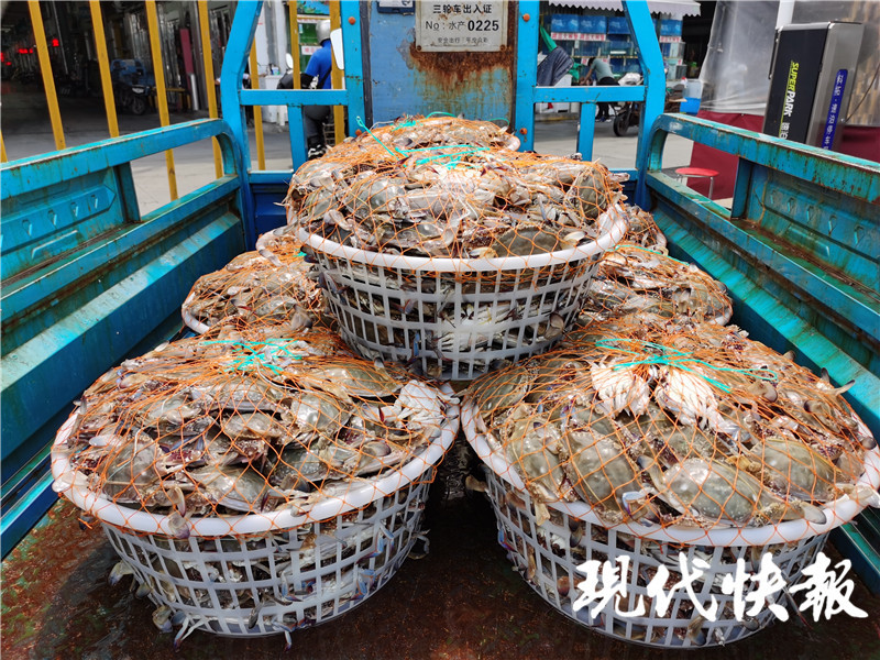 成筐的梭子蟹进入批发市场