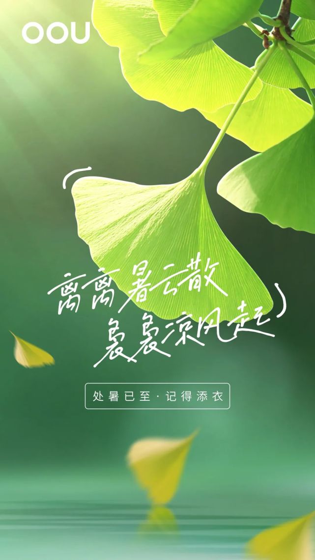 处暑丨离离暑气散,袅袅凉风起