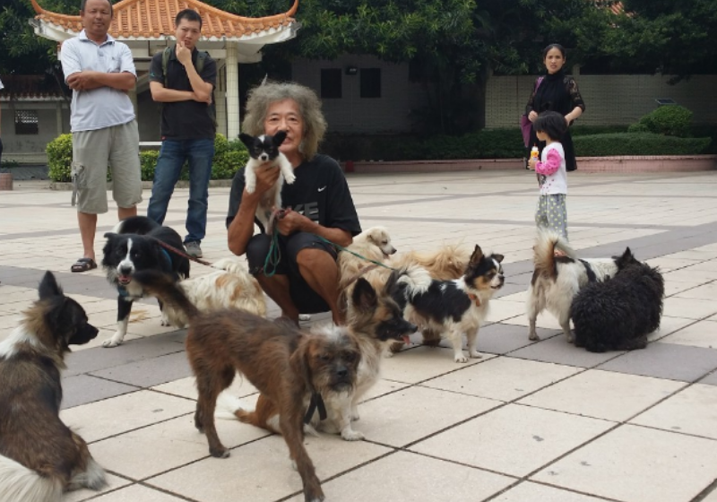 香港鄭六三:原是香港富二代有5000萬遺產,卻不知節制,成了流浪漢