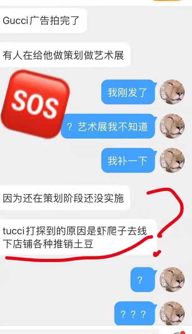 而从这张聊天记录中可以得知,gucci对肖战的态度与以往其他代言人比