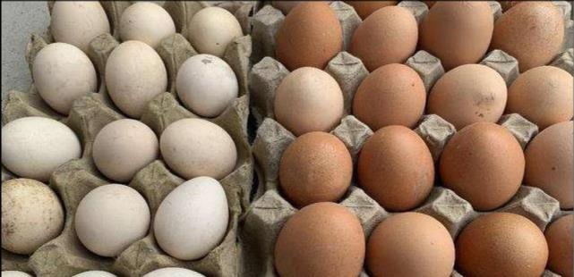 "人造鸡蛋"看这4个地方就能分辨,学会后再也不怕买错!