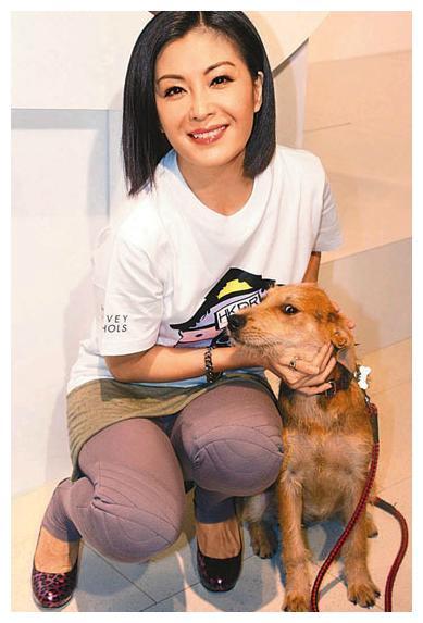 刚结婚丈夫就去世,不甘守寡当4年情妇再嫁豪门,成人生赢家|练海棠