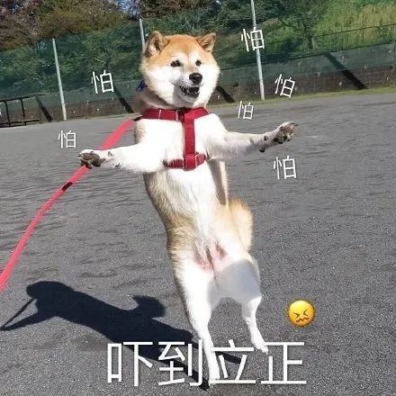 可爱表情包|我不是 我没有 极速否认