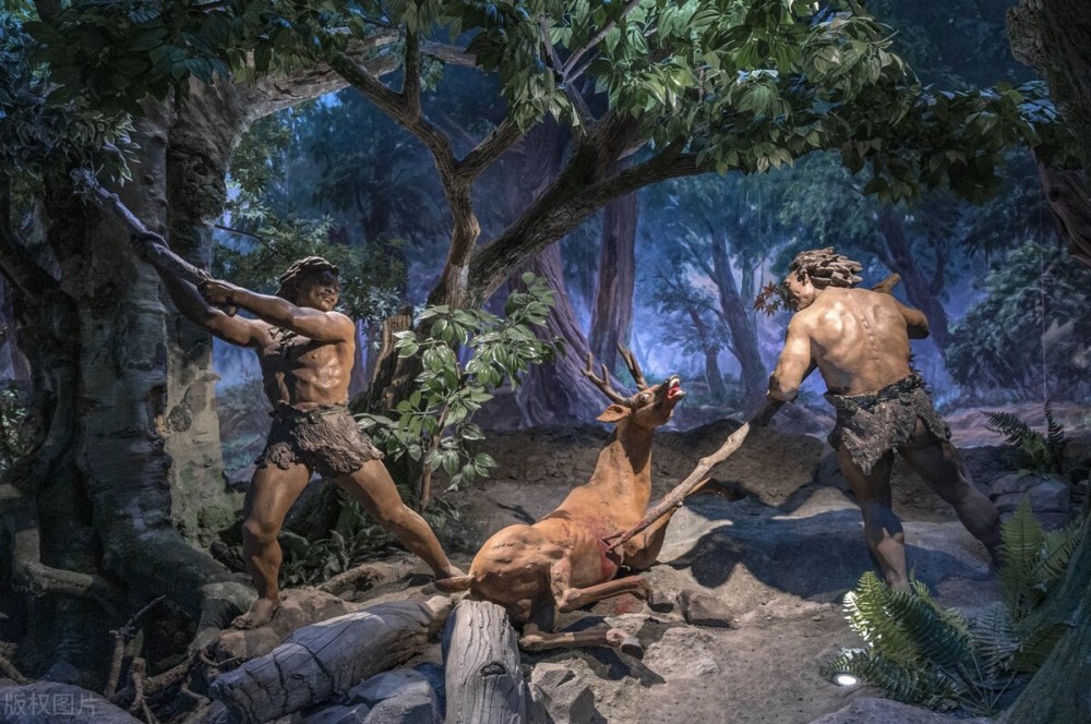 人类祖先活下来有多难?不是猛兽就是严寒,他们是怎么熬过来的?