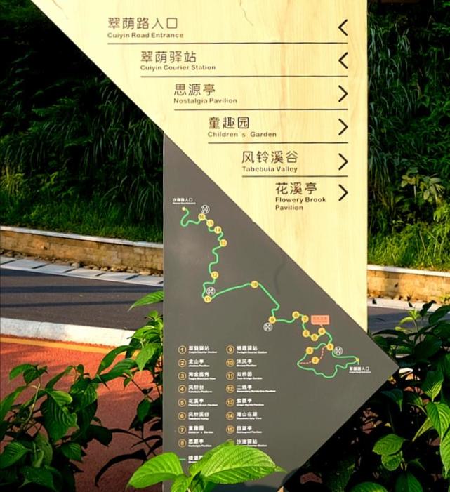 深圳市罗湖区的天然氧吧最美绿道淘金山绿道