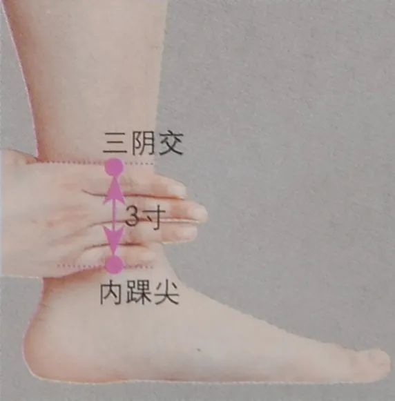 穴位图三阴交穴健脾益血改善睡眠