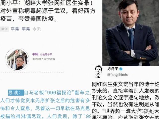 特别是对举报张文宏论文造假的人,诸如赵盛烨,方舟子,周小平之流,网友