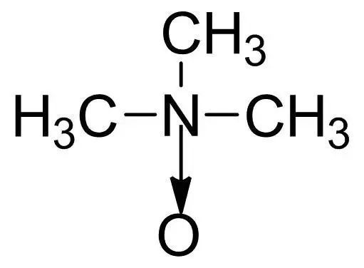三甲胺具有难闻的鱼腥味.