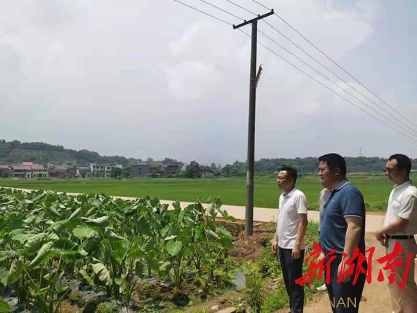 湖南日报市州观察丨党旗映红白地市—祁东县白地市镇抓党建促发展