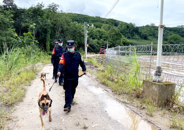 雲南臨滄:一條犬,一隊人,守護著一段祖國邊境