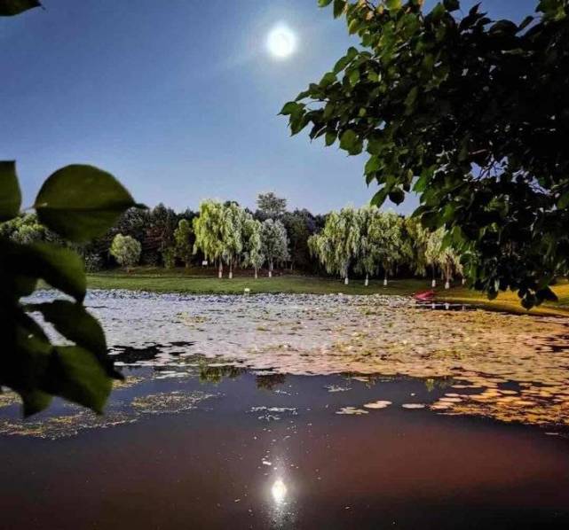 月光照在大地上