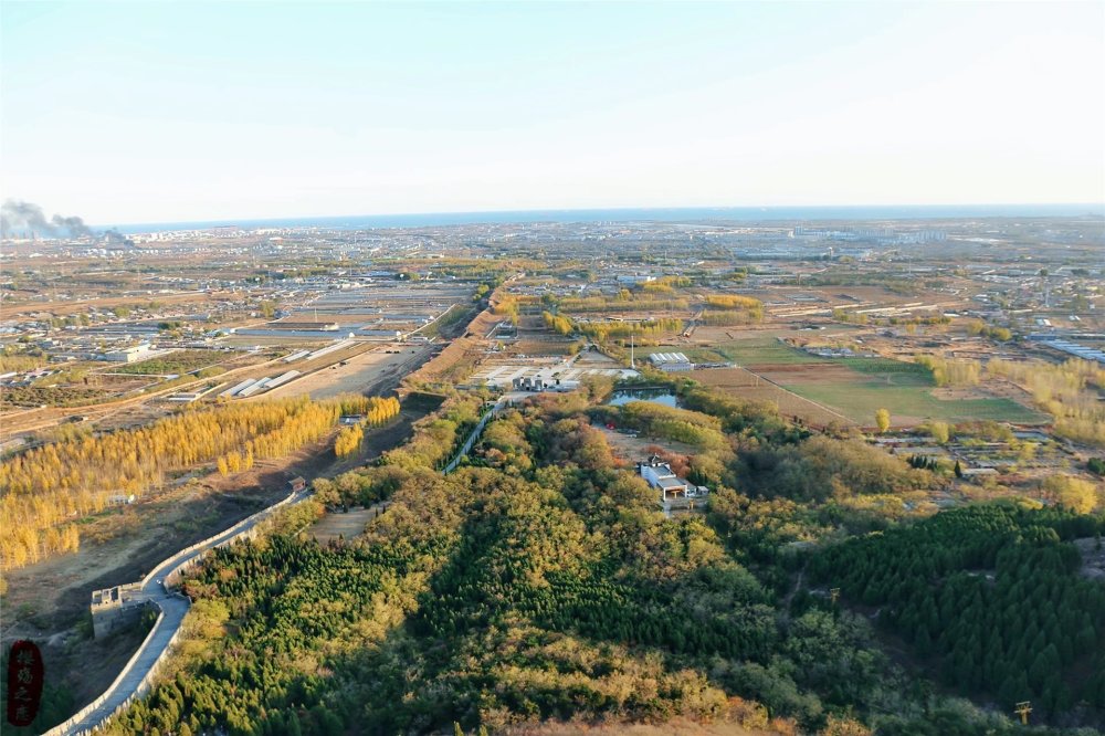 粮油排行榜_广东友粮粮油实业有限公司入选“全国粮油加工企业50强”榜单(2)
