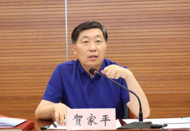 行政工作领导小组暨迎接法治政府建设督察动员部署会,市领导贺家平,肖