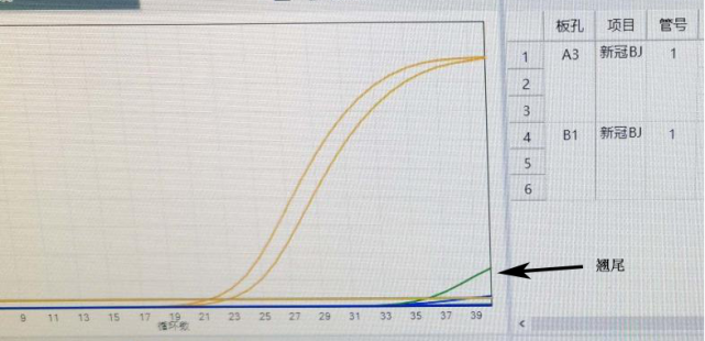 核酸检测曲线图分析图片