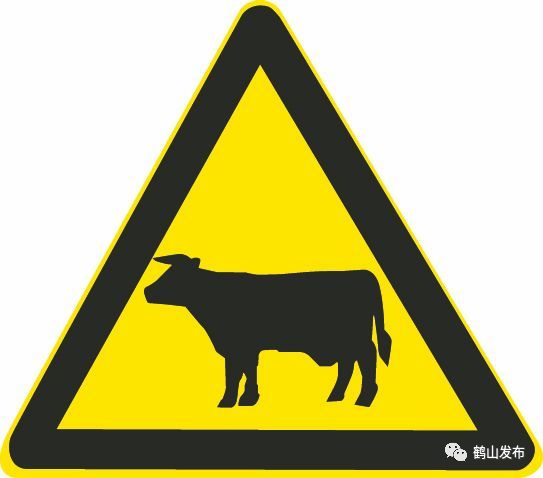 通常设置在放牧区,畜牧场等区域的公路上,提醒驾驶员:注意牲畜横穿