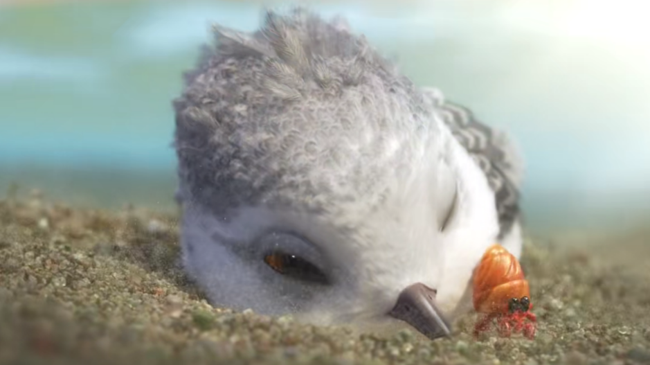 鹬历时三年打磨的六分钟动画完美诠释了成长的意义