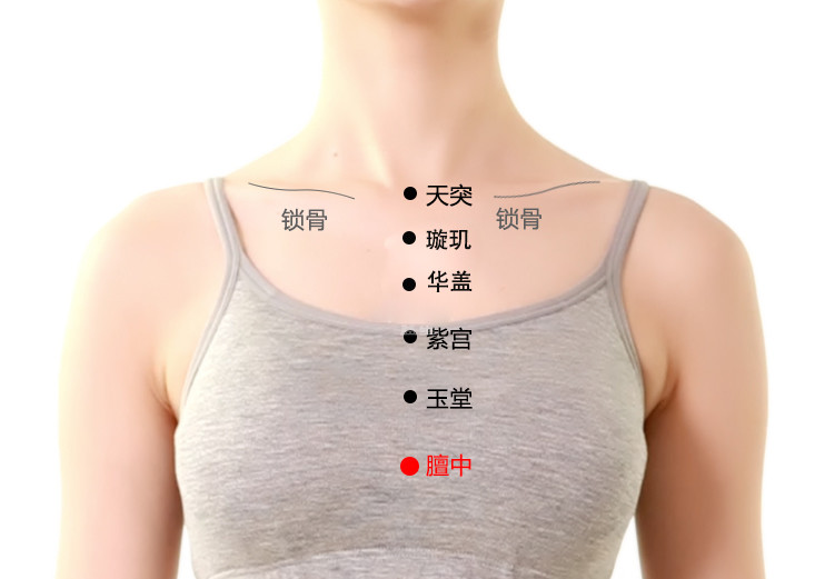膻中穴:调气降逆,宣肺化痰,宽胸通乳