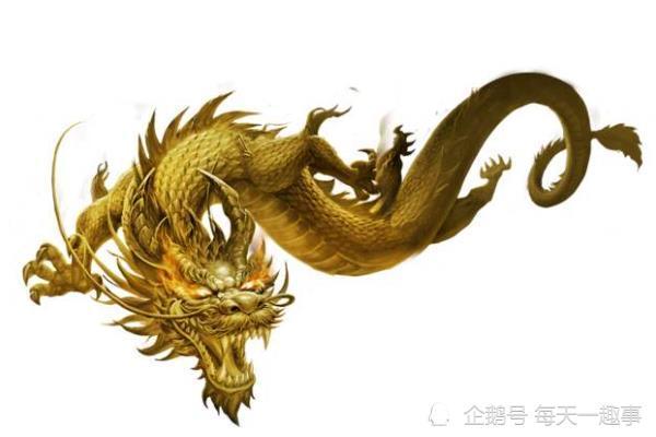 生肖龙和3个生肖配对,呈现"龙凤呈祥"命格,携手定能大富大贵