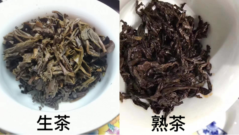 普洱生茶和熟茶的区别