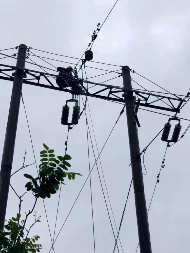 雷雨造成輸電線路故障 國網資陽供電公司及時搶修早送電