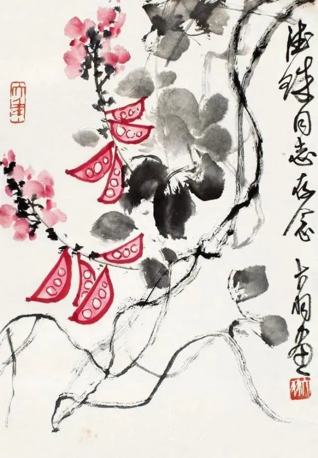 满架秋风扁豆花画里最美的豆棚之趣