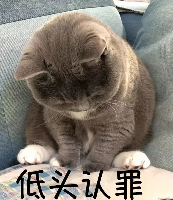 16@佳佳儿子淘气起来就像个小恶魔有次没忍住对他发了脾气加上那段