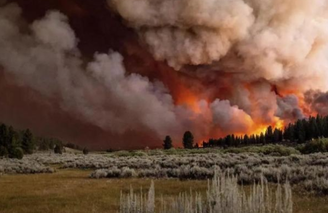 2021年地球面临巨大危机544高温突破记录中国早已率先行动