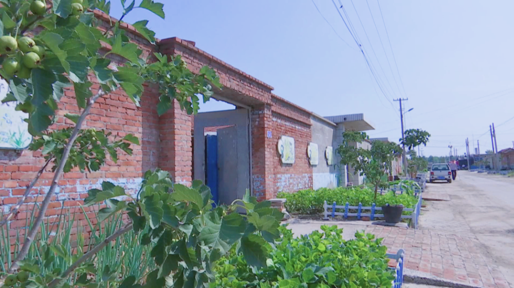 【丰南 乡村振兴】赵新庄村:绘出乡村振兴好风景