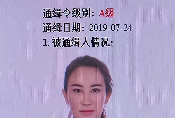 回顾山西"阔太"寇静瑶:黑社会组织成员,12年后终落网