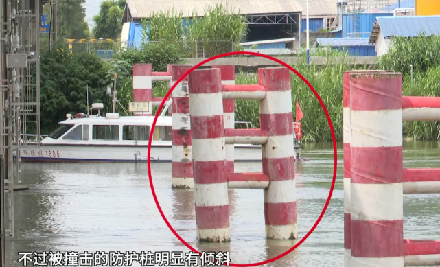 南沙货船碰撞西樵大桥防护桩桥体暂未有损坏
