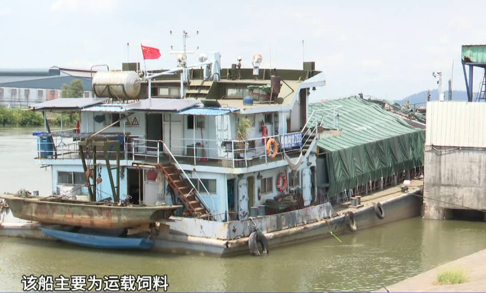 南沙:货船碰撞西樵大桥防护桩,桥体暂未有损坏