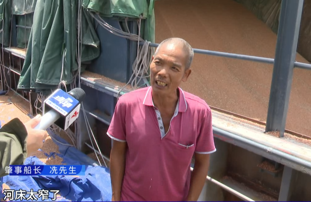 南沙:货船碰撞西樵大桥防护桩,桥体暂未有损坏