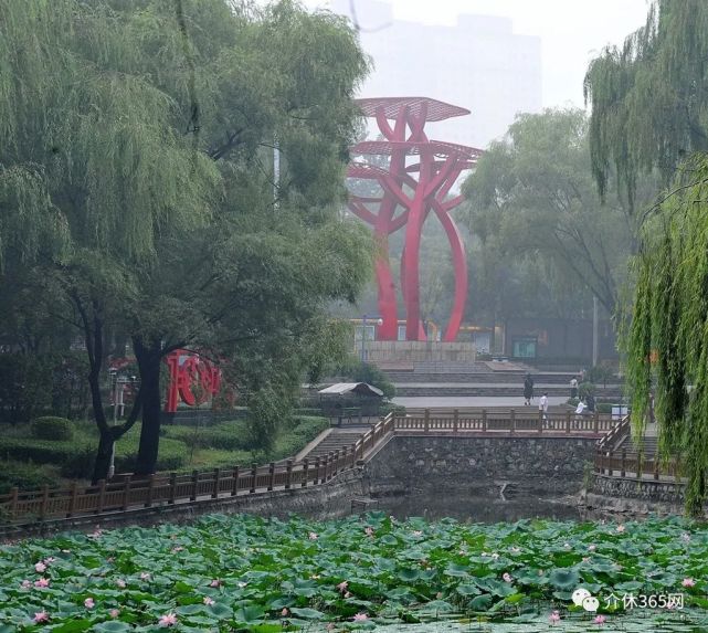 介休汾秀公園雨中的荷花王繼堂