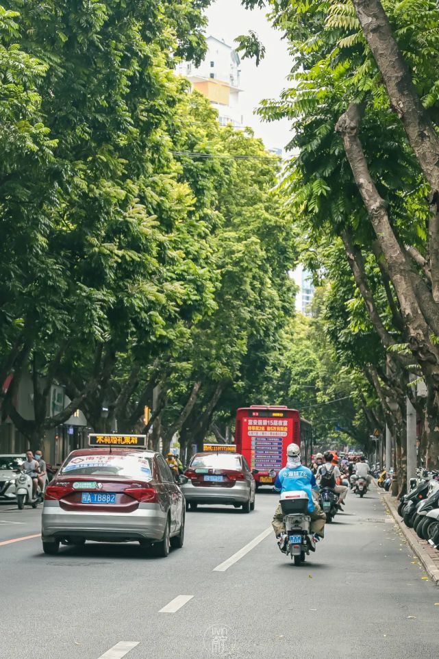 关于七星路南宁人的后街记忆
