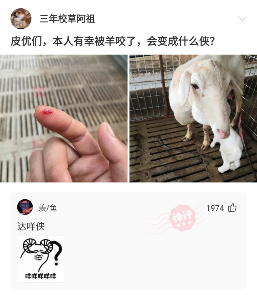 神回复兄弟们本人有幸被羊咬了会变成什么侠