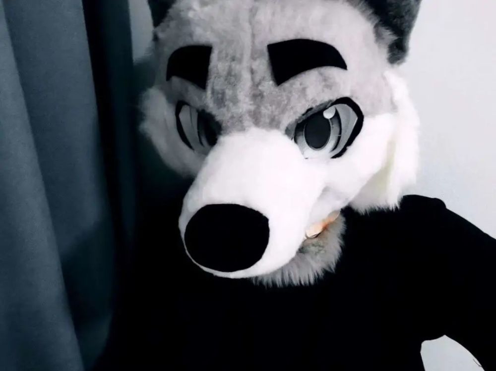 揭秘兽圈一套兽装凭什么值一辆奥迪