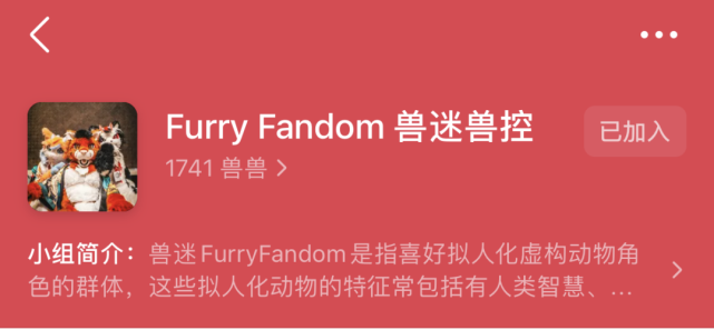 揭秘“兽圈”，一套“兽装”凭什么值一辆奥迪？_腾讯新闻