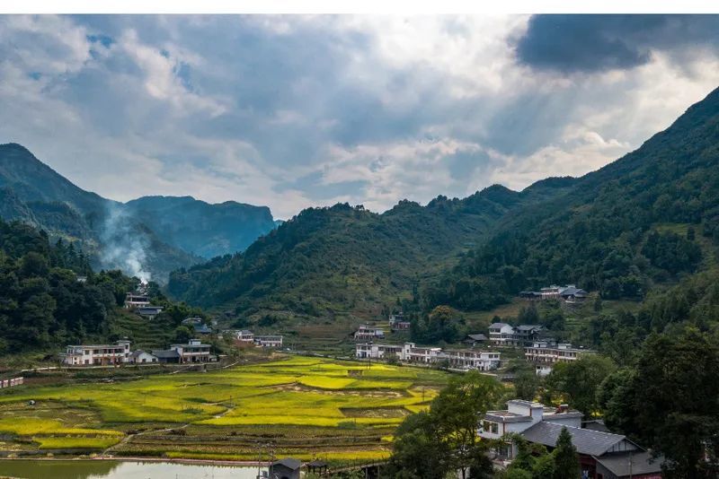 乡游黔中仙源县福同村│乡野拾趣收获一场别有风味的田园牧歌