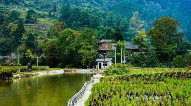 乡游黔中仙源县福同村│乡野拾趣收获一场别有风味的田园牧歌