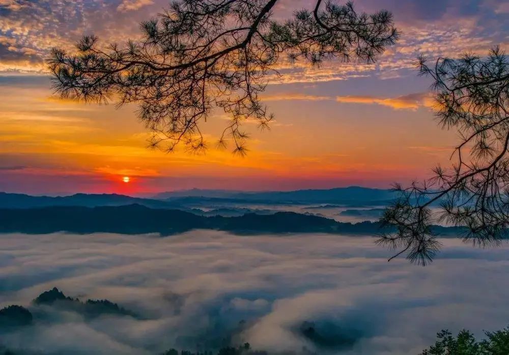 乡游黔中仙源县福同村│乡野拾趣收获一场别有风味的田园牧歌