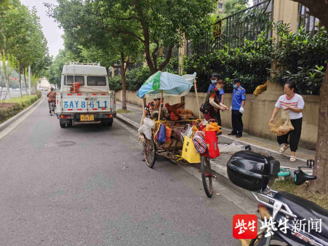 当街宰杀销售活禽，南京建邺城管立即叫停_腾讯新闻